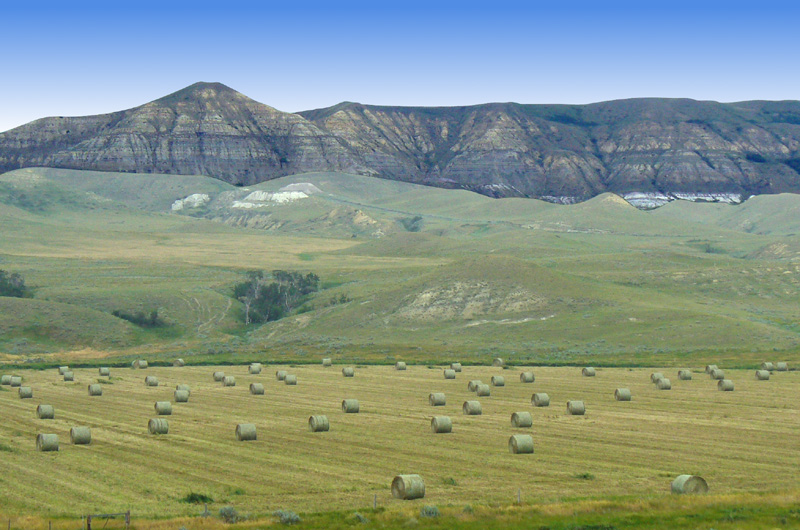 Eastend Saskatchewan river valley with whitemud clay